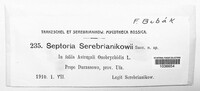 Septoria serebrianikowii image